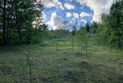 Teren de 1788 mp, în Breaza de Jos