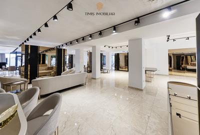 Spațiu comercial, de 450 mp, în Traian - 14