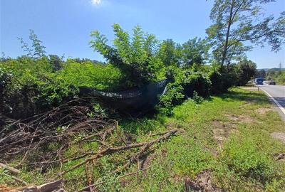 Teren Construcții intravilan de 5615 mp, în Calea Caransebeșului - 15