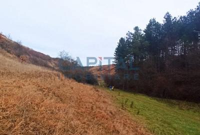 Teren Construcții extravilan de 2400 mp, în Săvădisla - 5