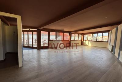 Spațiu comercial, de 329 mp, în Ultracentral - 13