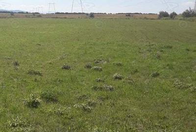 Teren de 27000 mp, în Drăguș - 4