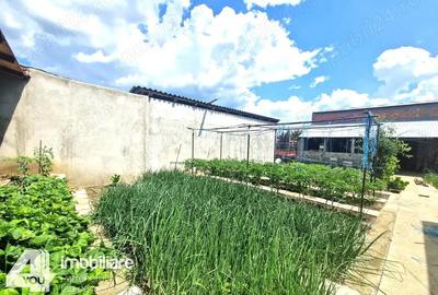 Casa in Loc. Pecica, teren 1602 mp, fs.17 ml, termoteca - 3