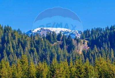 Teren de 13800 mp, în Fundățica - 10