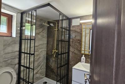 Casă cu 2 camere cu Teren 1000 Mp în Vețel - 6