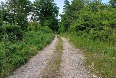 Resita, Teren Drept Intravilan, 11510 Mp., 4 Euro Mp., Valea Terovei - 5