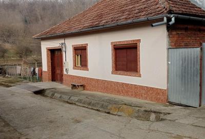 Casă cu Teren 2500 Mp în Globu Craiovei - 1