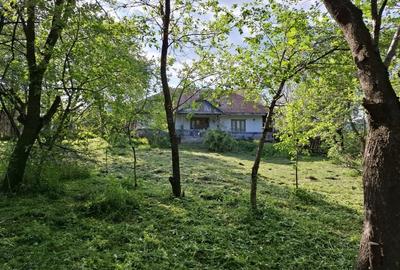 Casa si teren 1870m2 cu 90 m deschide la strada Stefan Luchian, Moinesti - 4