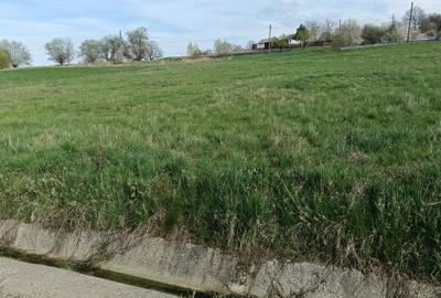 Teren de 2000 mp, în Stânca - 4