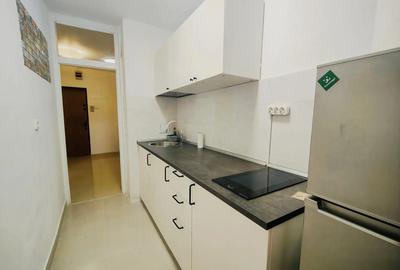 Proprietar inchiriez garsoniera la cheie, zona buna, prima inchiriere - 2