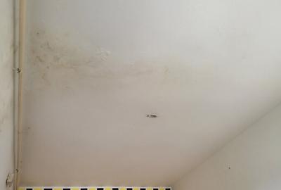 Apartament cu 4 camere semidecomandat în Central - 17