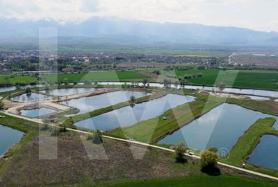 Teren Extravilan cu lac - Investitie in Natura si Agrement | 35.251 mp - 3