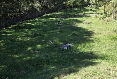 Teren de 900 mp, în Sadova - 2