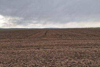 Teren 10,000mp Bacau / Strada Alexandru Safran - 5