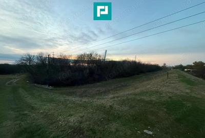 Teren Aradul Nou - 2