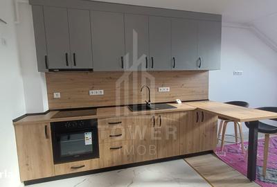 Apartament cu 2 camere, mobilat în Lazaret - 2