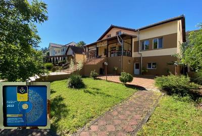 Pensiune functionala arhitectura deosebita Buzias - 1