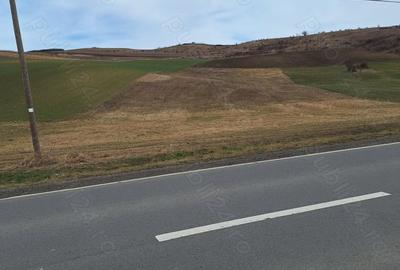 Teren de 5800 mp, în Gădălin - 3