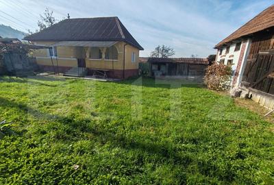 Casa familiala cu anexe gospoadaresti si teren in suprafata - 4