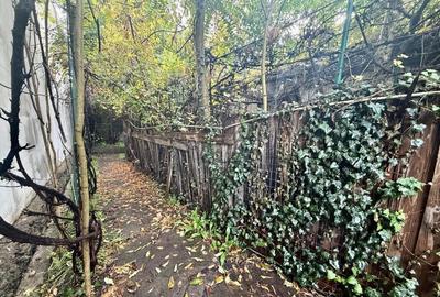 A/1670 De vanzare casa in Tg Mures- Balcescu - 3