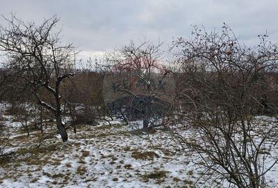 Teren de 10000 mp, în Rădășeni