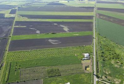 Livada de nuci ?i pruni 2.4ha in Varia?ul Mare - 17