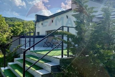 Proprietate specială, de 280 mp, în Almaș - 49