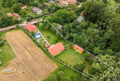 Ansamblu cu 2 case,piscina,1.700 mp domeniu verde,Lutoasa,Mereni,Covasna - 29