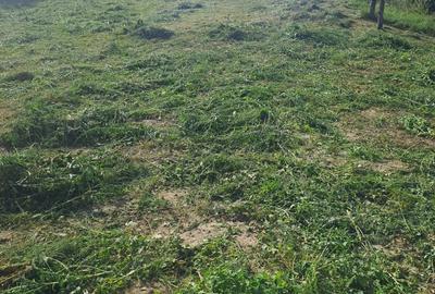 Vand casa plus teren in Cojocna - 4