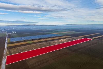 Teren intravilan pretabil industri, logistica sau parc fotovoltaic - 4
