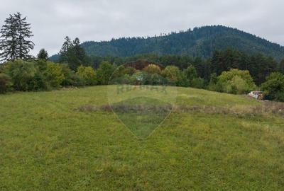 Proiect autorizat (AC) pentru constructia a 2 vile indivi... - 9