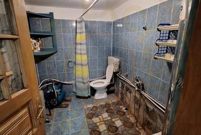 Casă individuală cu 6 camere cu Teren 1470 Mp în Pietroșani - 9