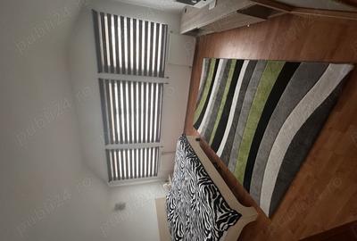 Vand casa in Timi?oara - 1