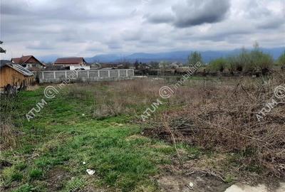 Teren intravilan 1300 mp de vanzare pe Valea Avrigului, drum asfaltat