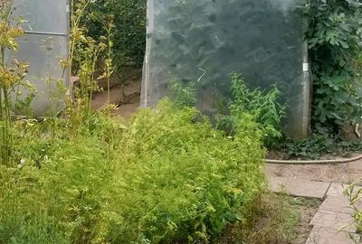 Proprietar vand vila. - 4