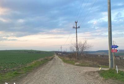 Teren de 508 mp, în Valea Lupului - 4