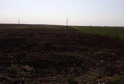 Teren de 15000 mp, în Agigea - 2