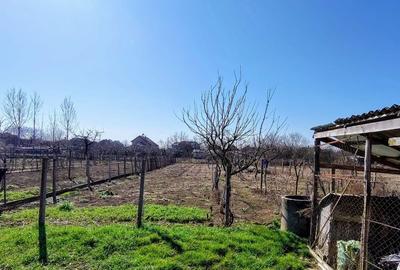 Casă cu 3 camere în Petreu - 6