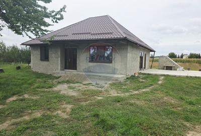 Casa cu livada si teren generos - Girov - 37