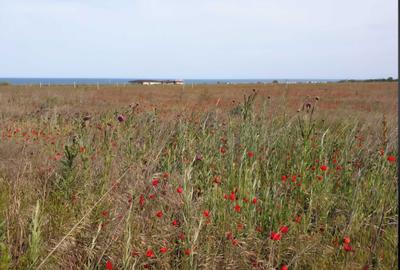 Teren de 500 mp, în Corbu - 2