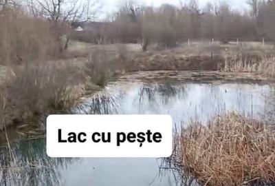 Spațiu comercial, în Negrești - 7