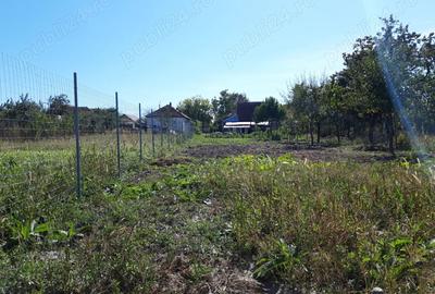 Casa de vanzare in Ghiroda - 1