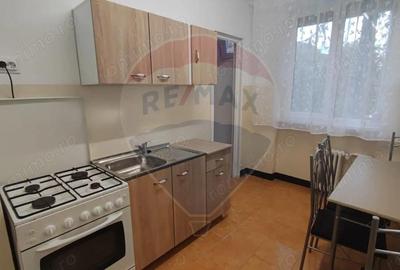 Apartament cu 3 camere decomandat, mobilat în Decebal - 7