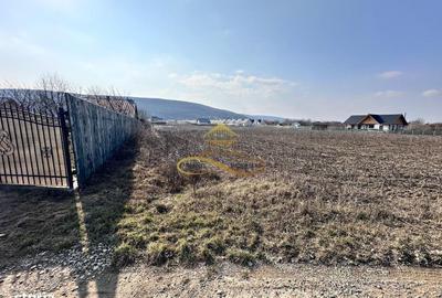 Spațiu comercial, în Hemeiuș - 2