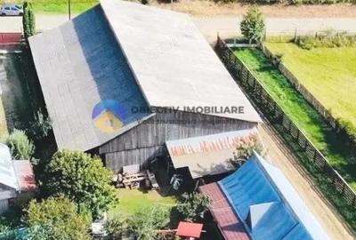 CASA + HALA comuna ALEXANDRU cel BUN - 9