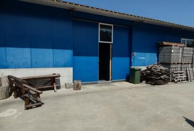 Spațiu comercial, de 500 mp, în Iancu Jianu - 4