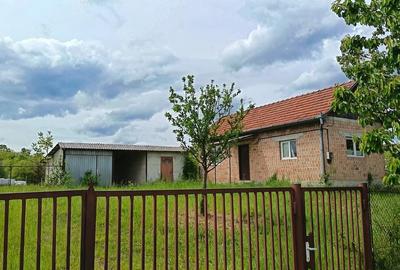 Casă cu 2 camere cu Teren 1850 Mp în Valea Mare de Criș - 4