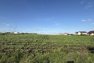 Teren de 8445 mp, în Rediu - 5
