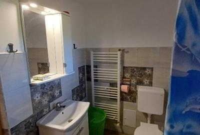 Casa și teren de vanzare Casa și teren de vanzare - 7