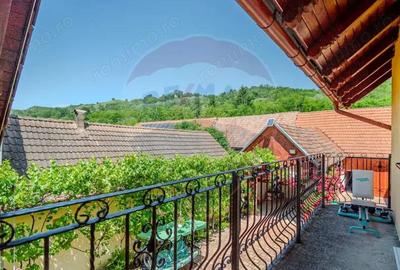 Casa DE VIS Feldioara/ Ucea/ Fagaras- DE VANZARE! - 11